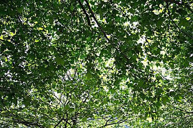 《使命召唤18》开发商大锤在英国开设新工作室