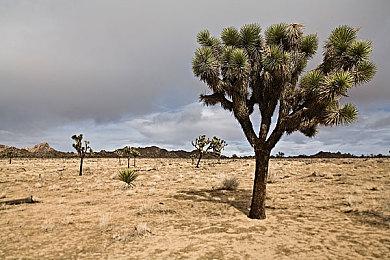 《GTA6》PC版需要更多时间打磨？胡扯只是借口而已