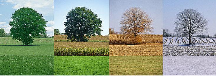 AMD FSR技术已获得19款游戏和44家公司支持